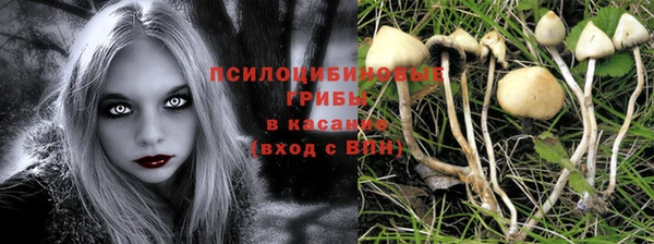 MESCALINE Елизово