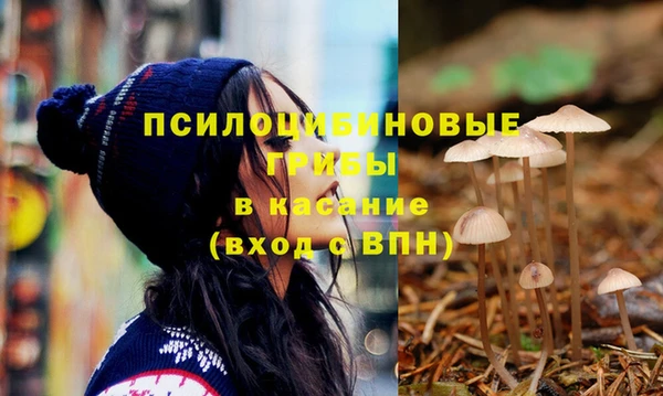 а пвп мука Елабуга